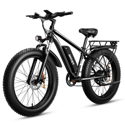 Electric Bike
